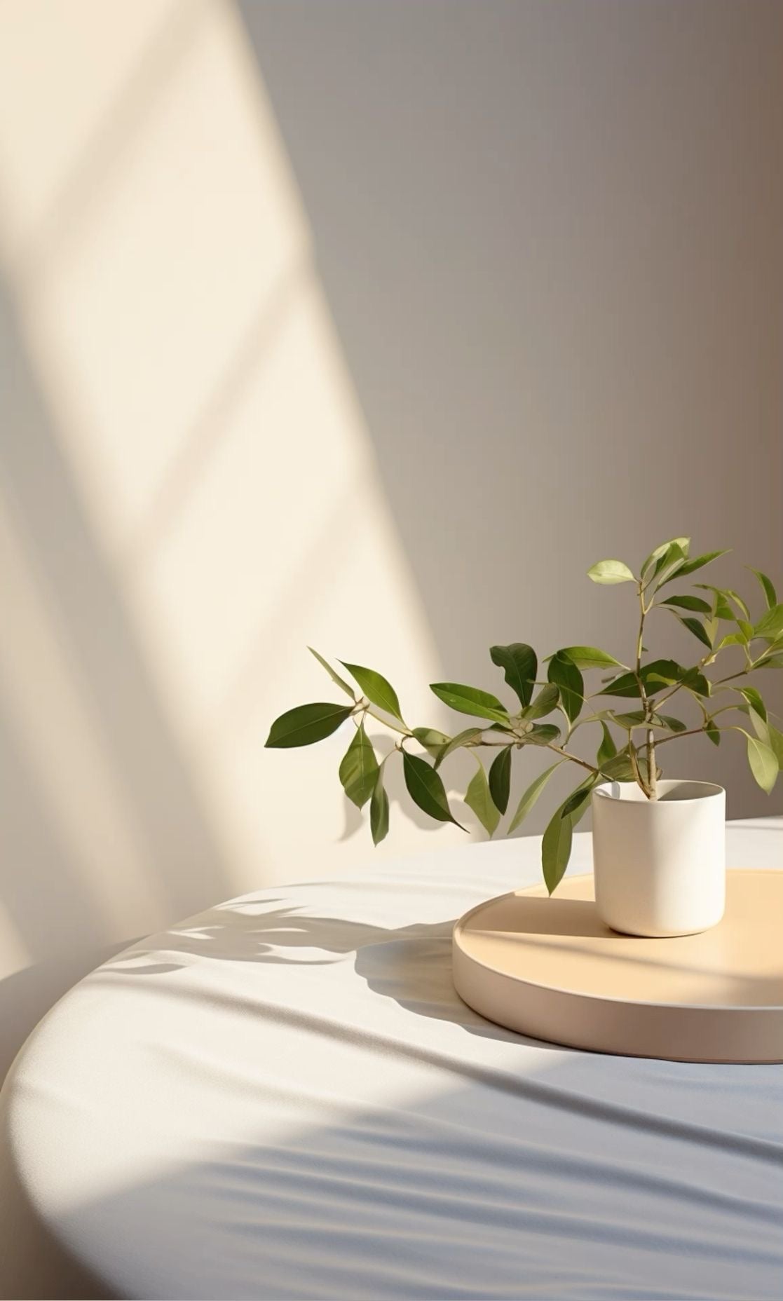 PLANTS